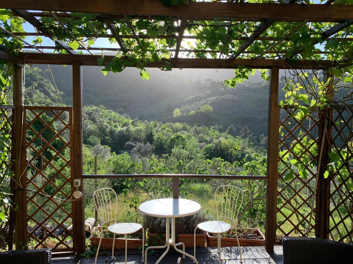 Barco Mediceo B&B In Toscana Carmignano Eksteriør billede